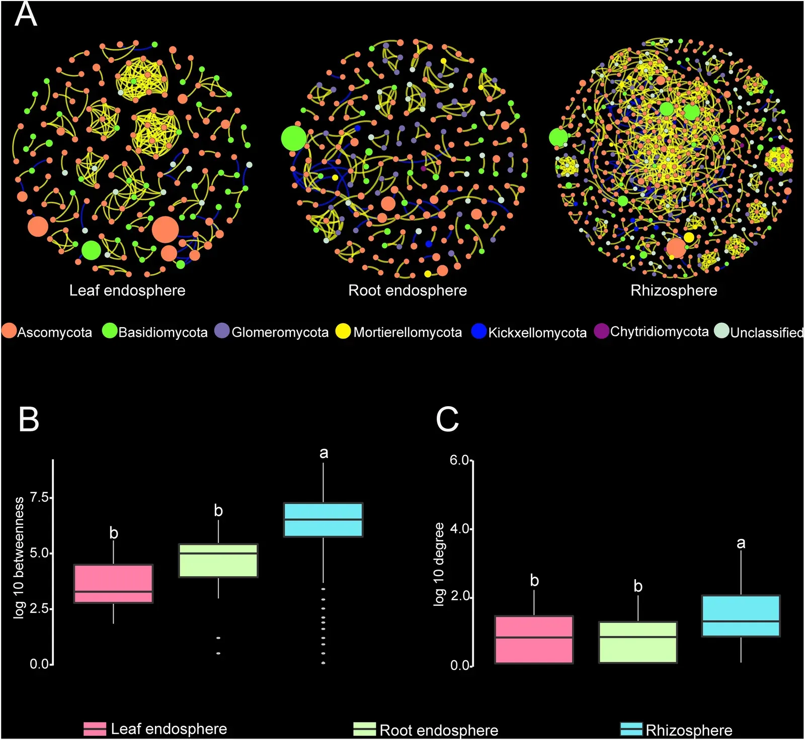 Why It Matters (Image Credits: Wikimedia)