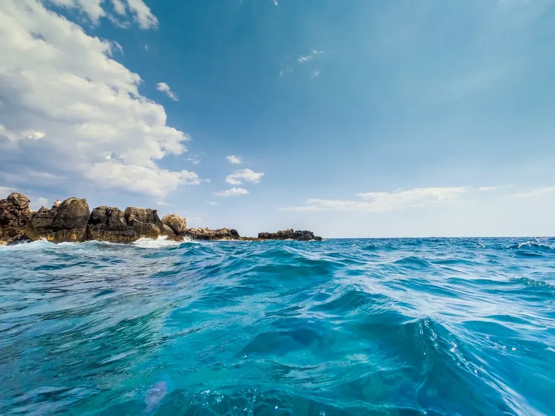 Life reduced to a handful of salty pools (Image Credits: Unsplash)
