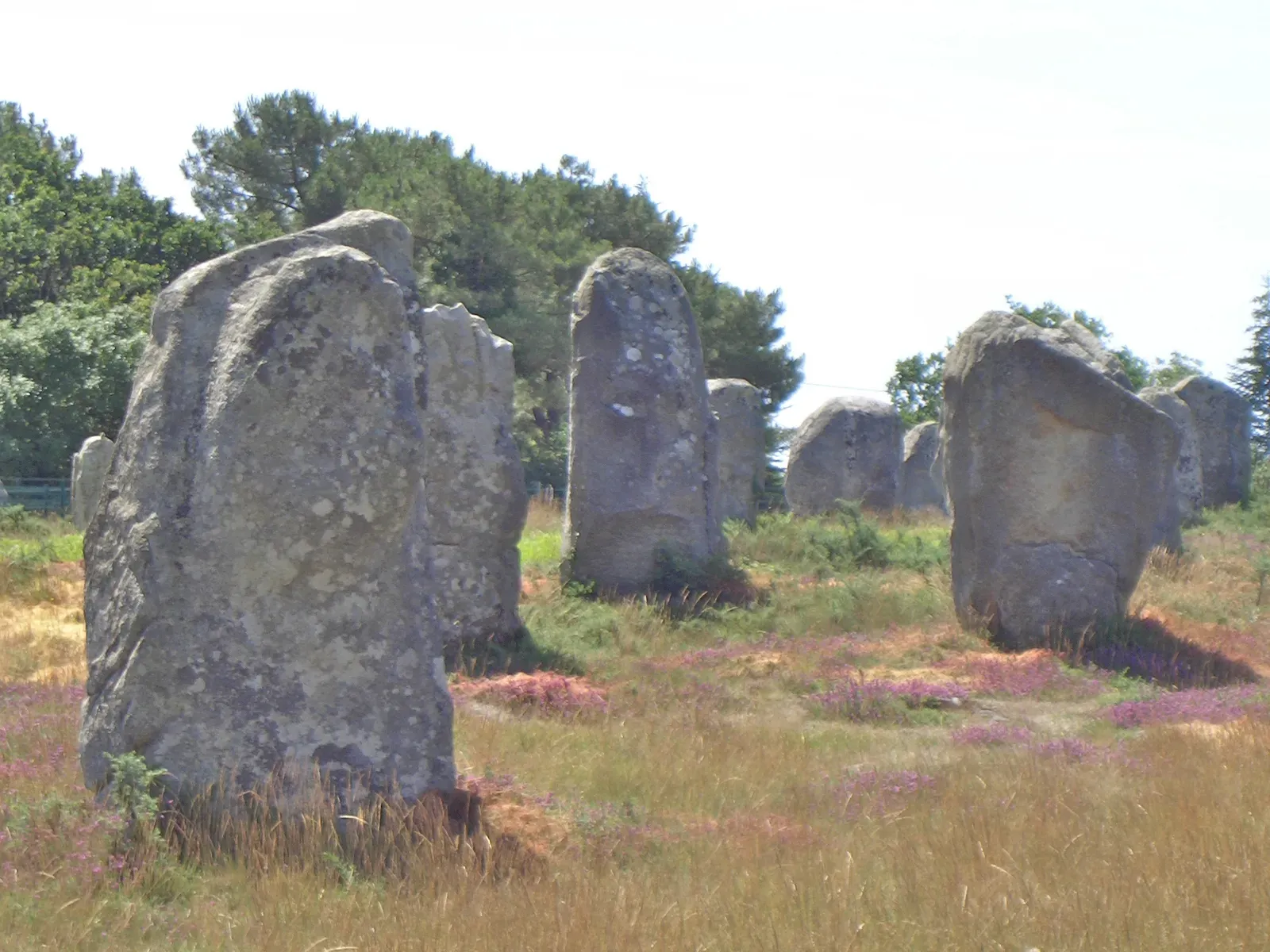 The Carnac Alignments, France: Oceans of Standing Stones Marching Toward an Unknown Goal (Image Credits: Wikimedia)