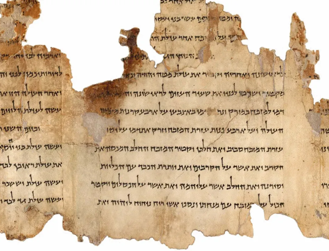 3. The Dead Sea Scrolls and the Reframing of Religious History (Image Credits: Wikimedia)