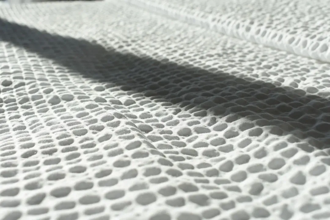 4. Sharkskin-Inspired Surfaces for Cleaner, Faster Travel (Image Credits: Unsplash)