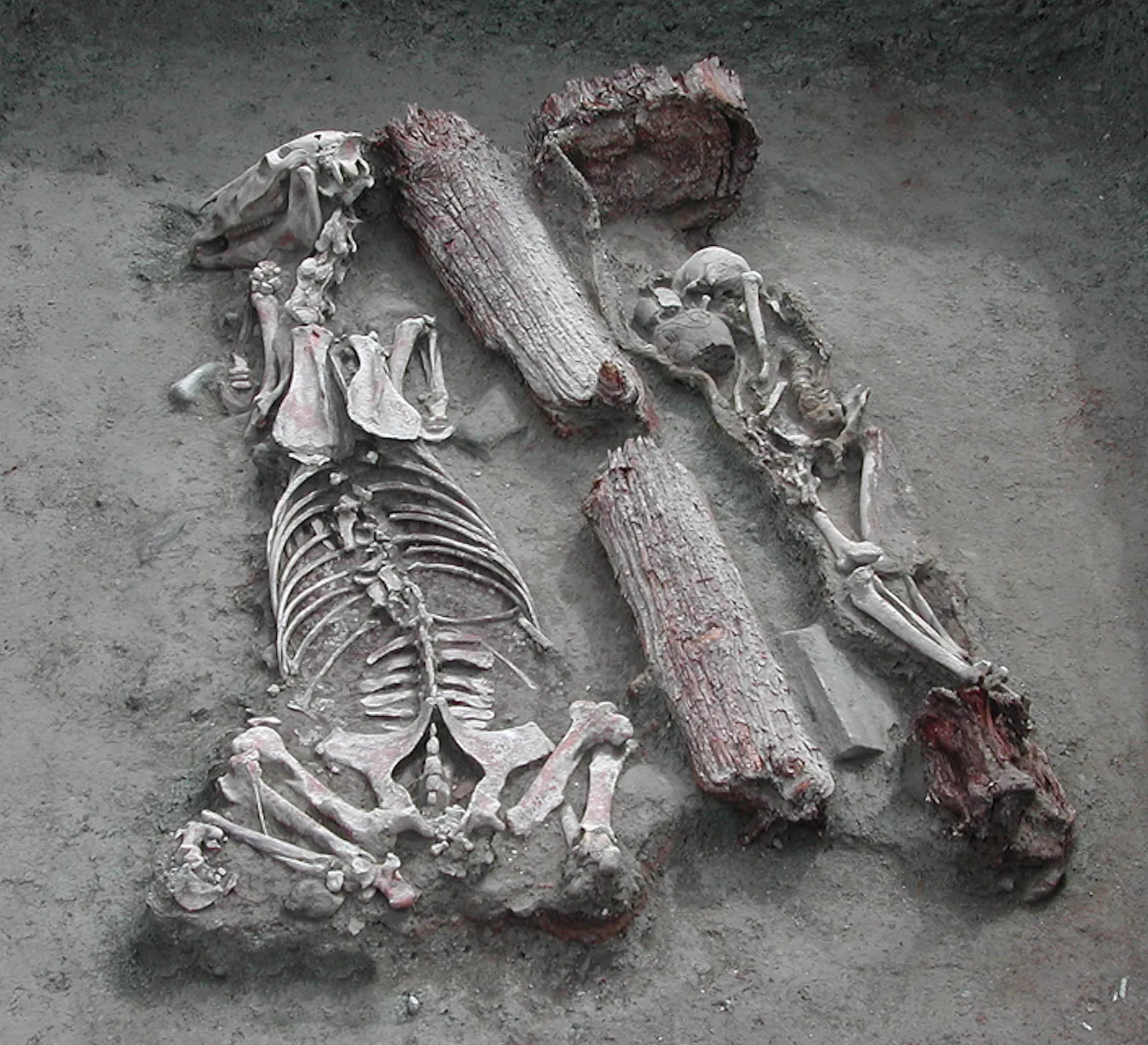 #5 - Pazyryk Frozen Graves: Chinese Silk in the Siberian Steppe (Tracing the Origin of the East-West Population Admixture in the Altai Region (Central Asia), CC BY-SA 4.0)