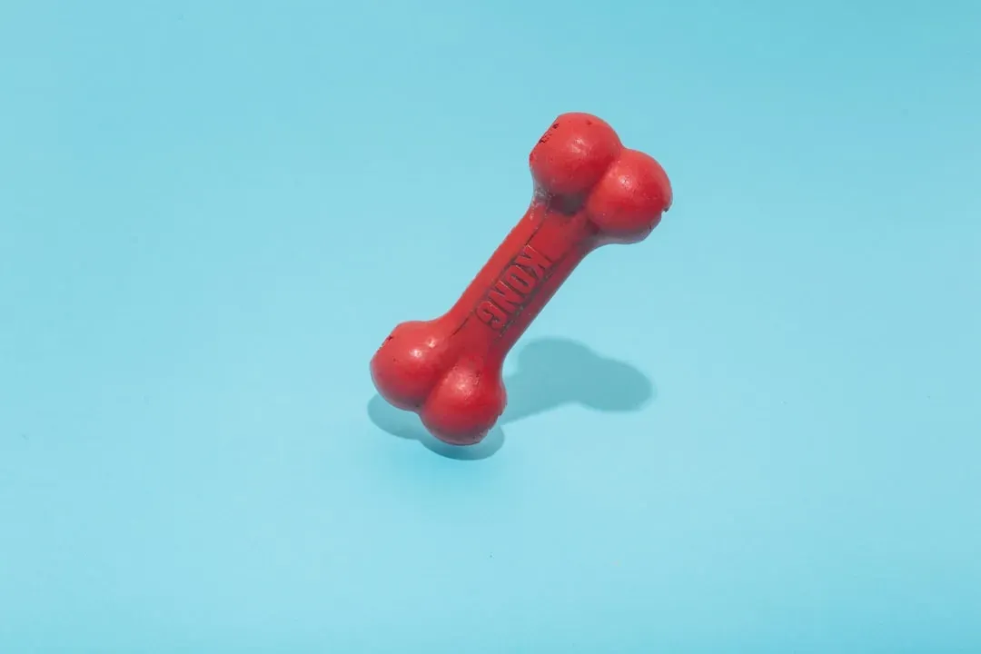 Dog Toys And Pet Items (Image Credits: Unsplash)