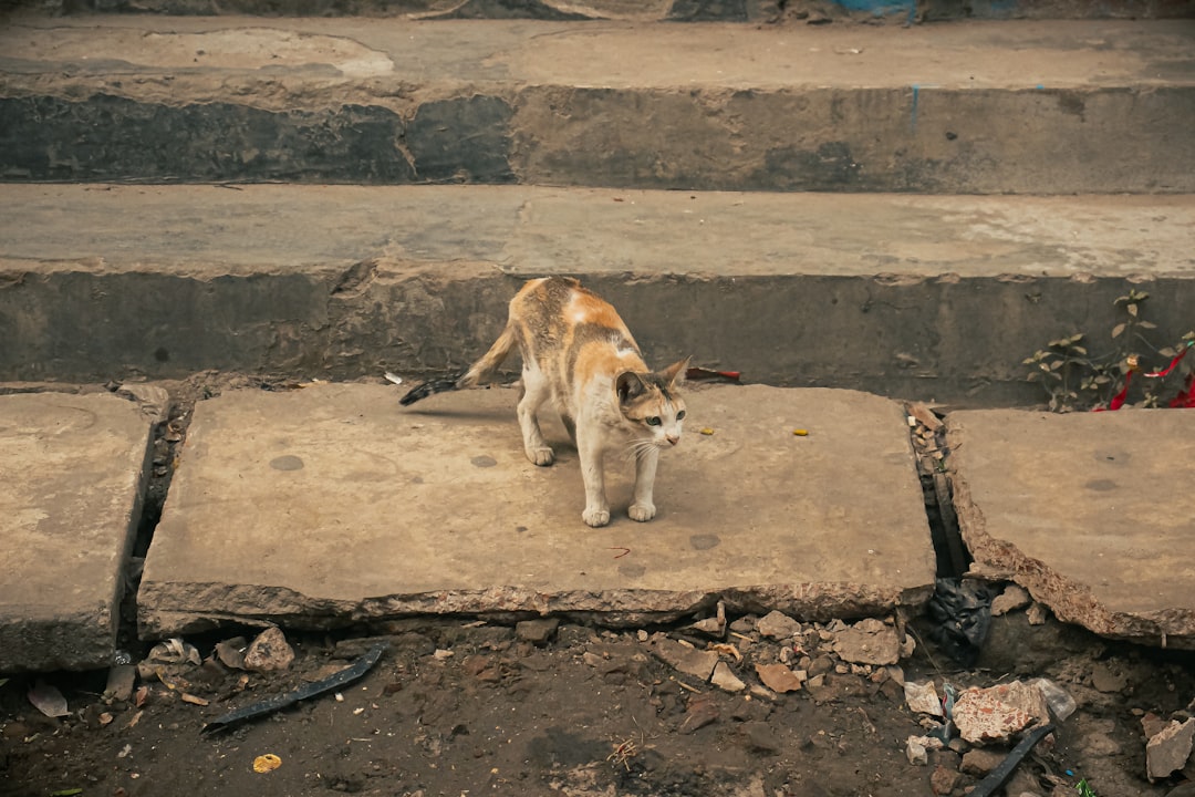 Ancient Stories Meet Modern Science (Image Credits: Unsplash)