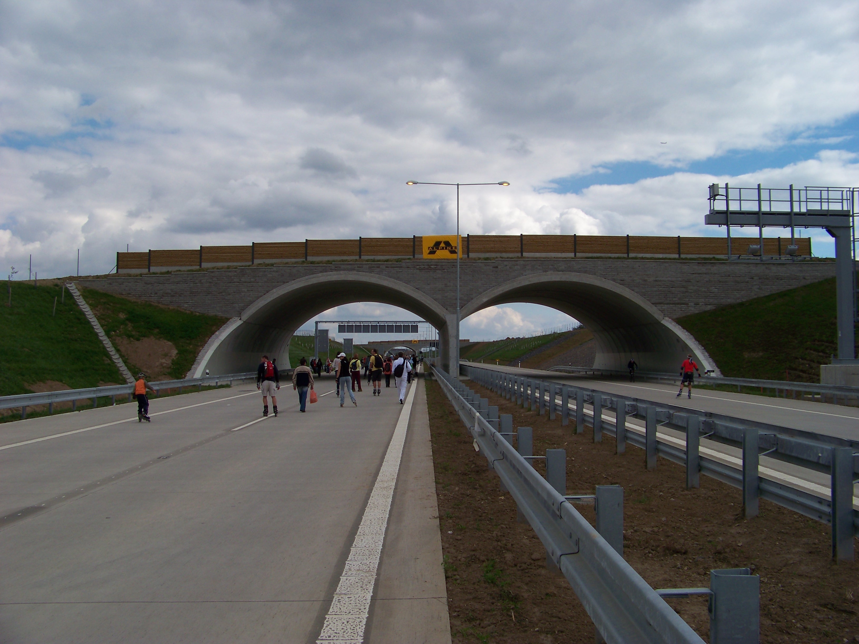 Overpass Bridges Restore Natural Movement Patterns (Image Credits: Wikimedia)