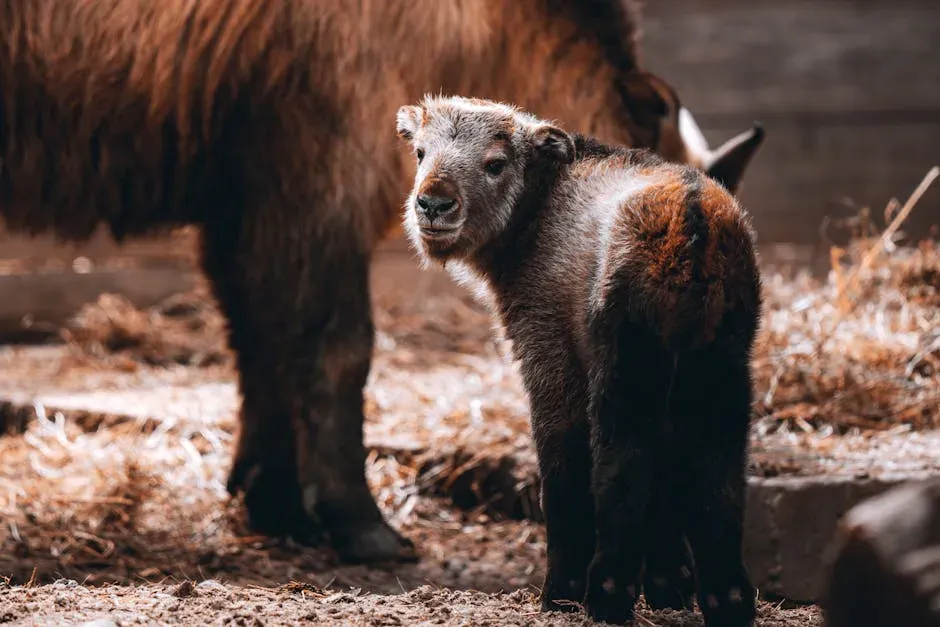 What Empathy Means for Animal Welfare (Image Credits: Pexels)