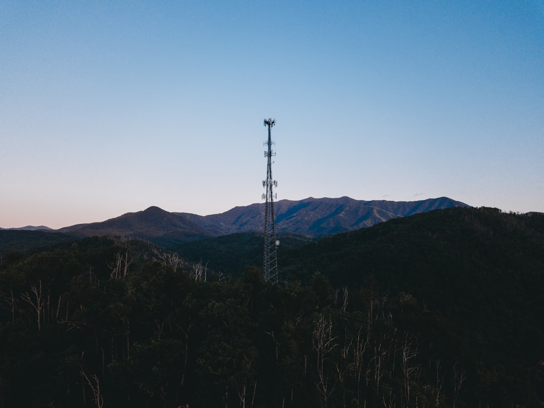 The Future Landscape (Image Credits: Unsplash)