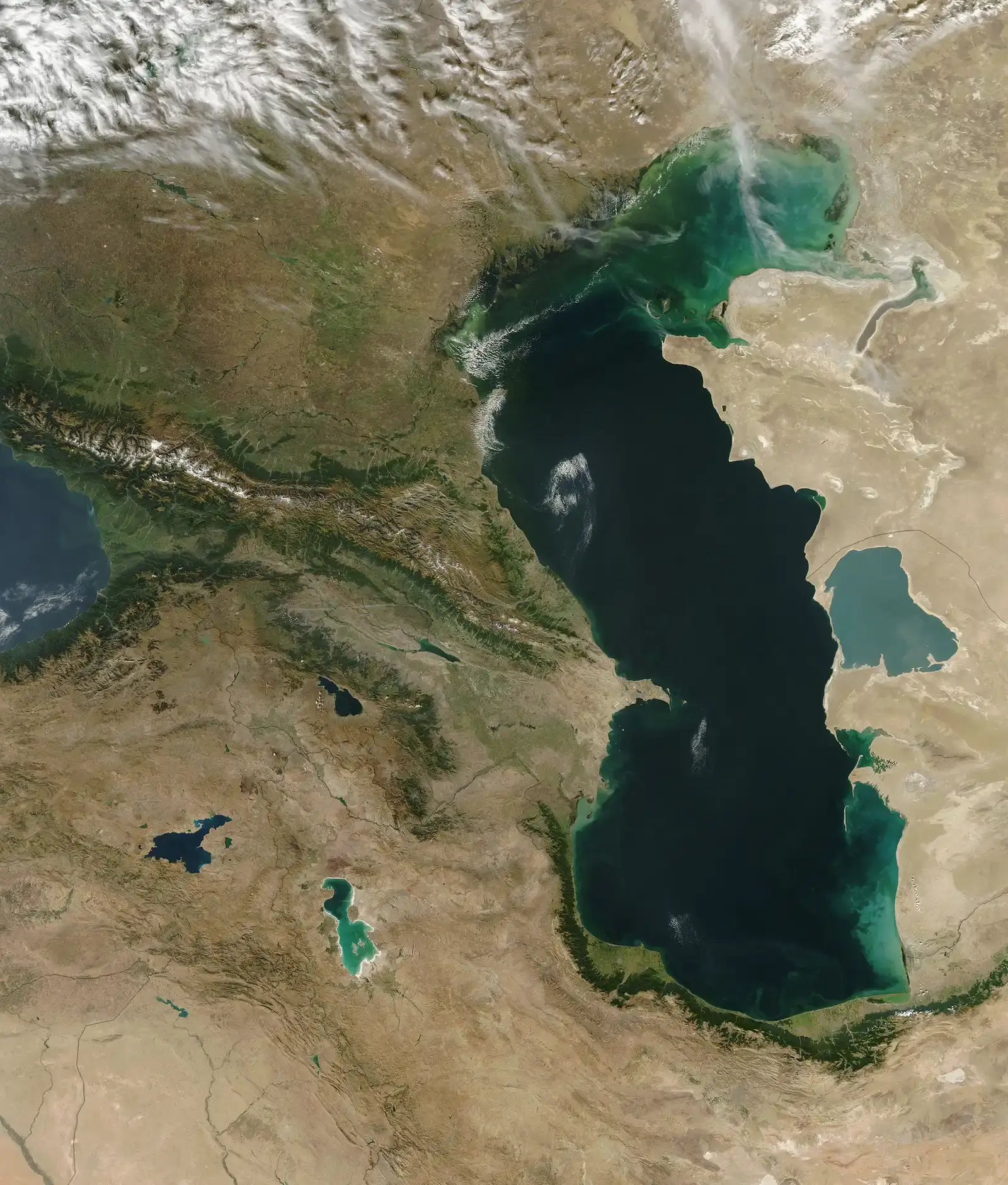 The Caspian Sea: A Saltwater Anomaly Among Giants (Image Credits: Wikimedia)