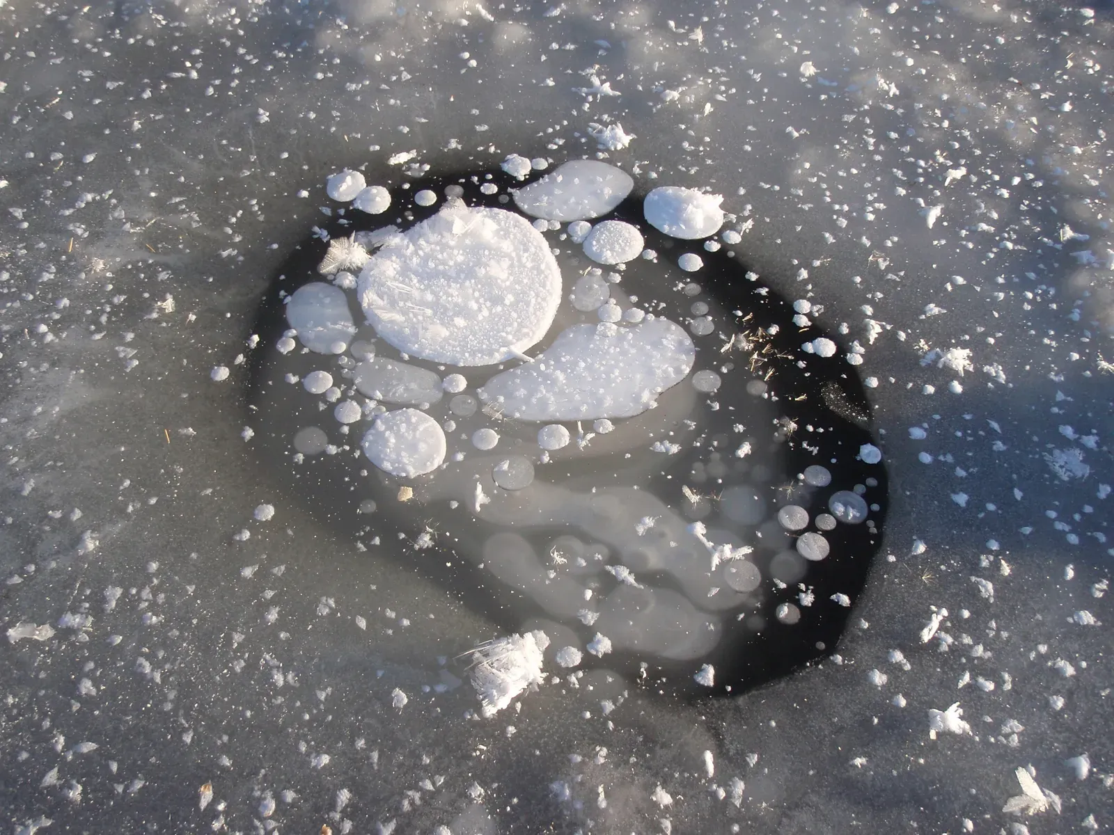 Frozen Methane Bubbles Trapped Under Ice (Image Credits: Wikimedia)