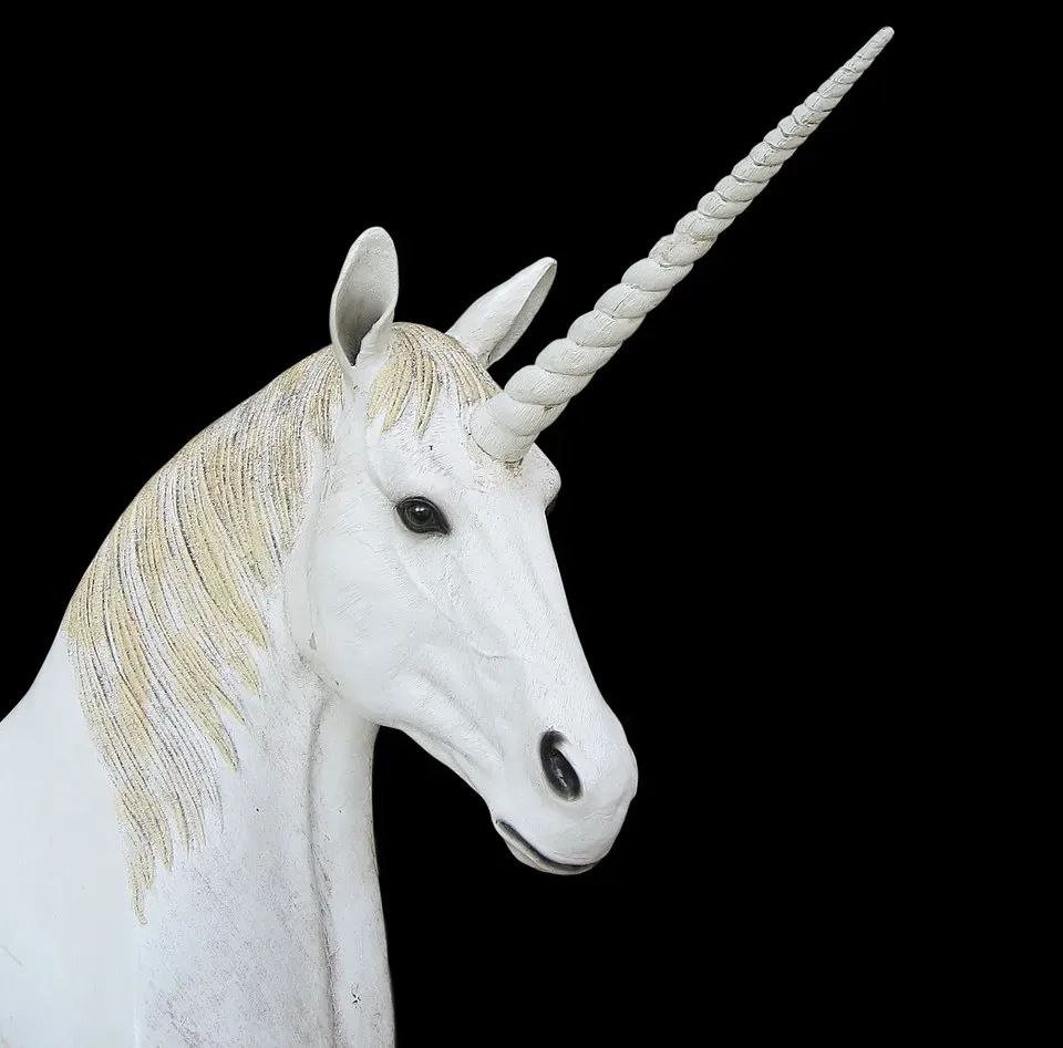 8. A Single Misunderstood Word Helped Create the Myth of Unicorns (Image Credits: Pixabay)