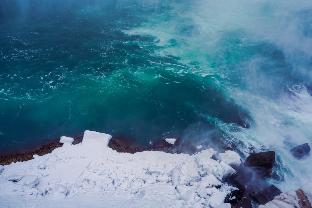 The Great Ice Edge Buffet (Image Credits: Unsplash)