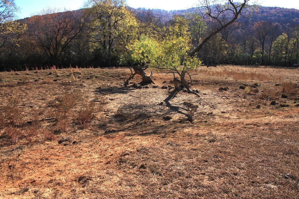 Climate Disruption and Religious Crisis (Image Credits: Flickr)