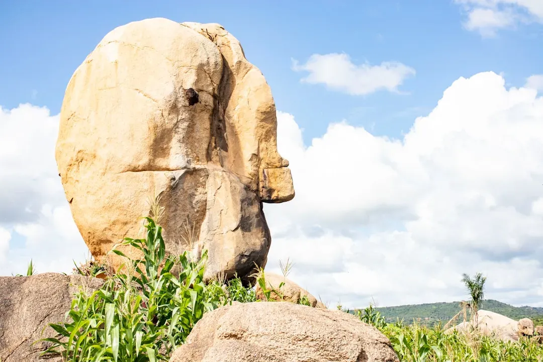 Pareidolia: The Brain’s Talent for Making Something Out of Nothing (Image Credits: Unsplash)