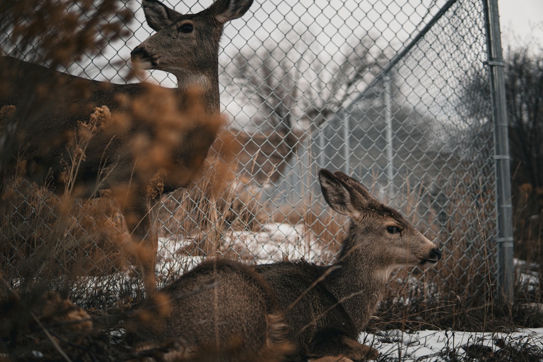 Why It Matters: Nature, Identity, and the Science of Metaphors (Image Credits: Unsplash)