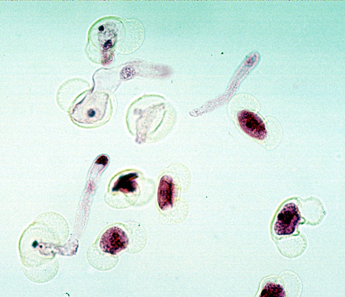 Call to Action (Image Credits: Wikimedia)