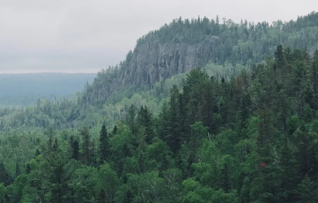 Climate Change: The Engine Pushing the Tree Line Toward the Arctic (Image Credits: Unsplash)