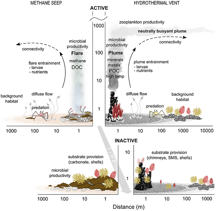 Why It Matters (Image Credits: Wikimedia)
