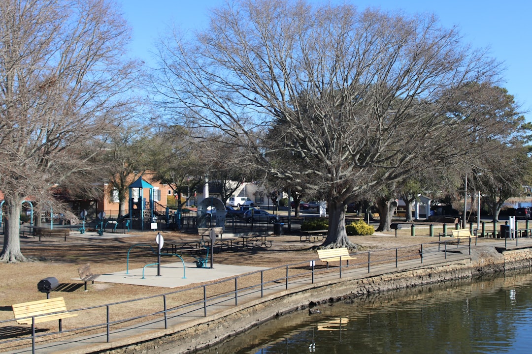 Old Santee Canal Park Boardwalk - South Carolina (Image Credits: Unsplash)