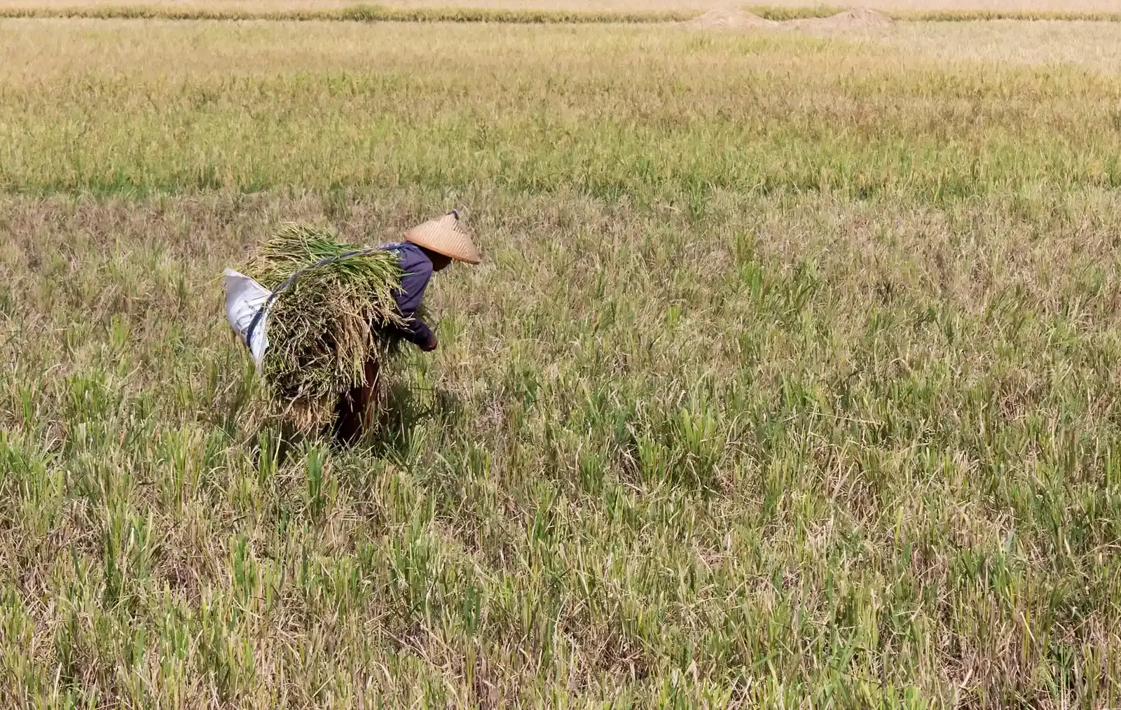 #11 - The Farmer Down the Road Might Beat the Radar (By Crisco 1492, CC BY-SA 3.0)