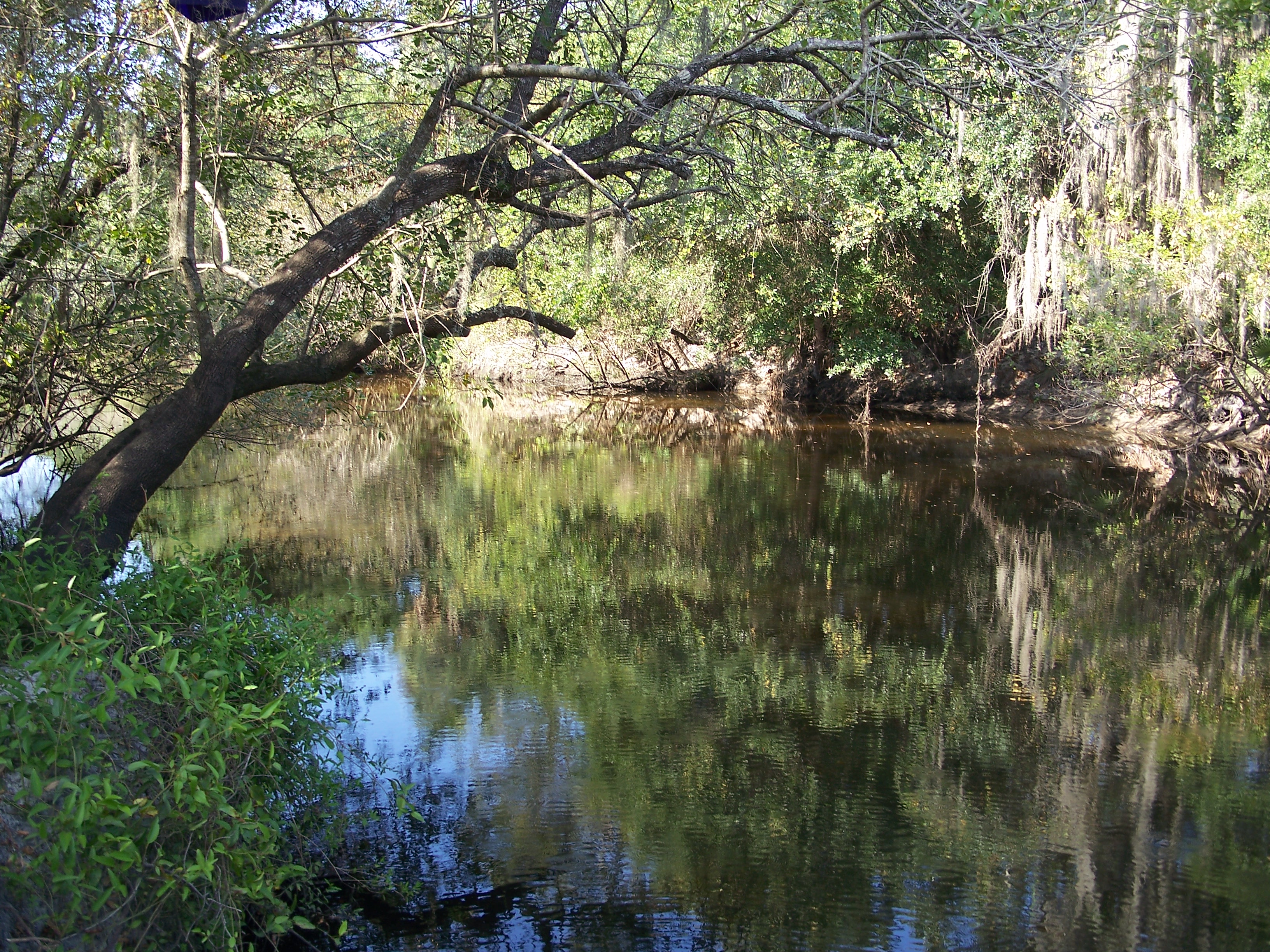 River Clocks Running Fast (Image Credits: Wikimedia)