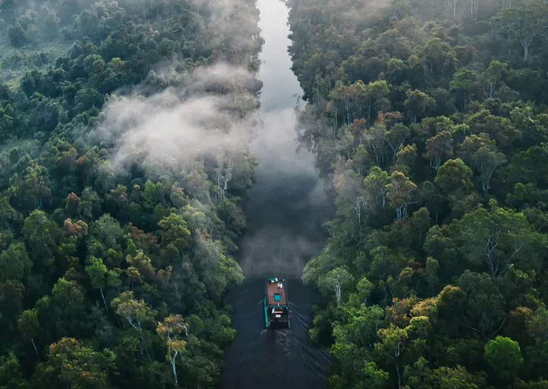 Dark Earth and the Secret of Feeding a Forest Civilization (Image Credits: Unsplash)