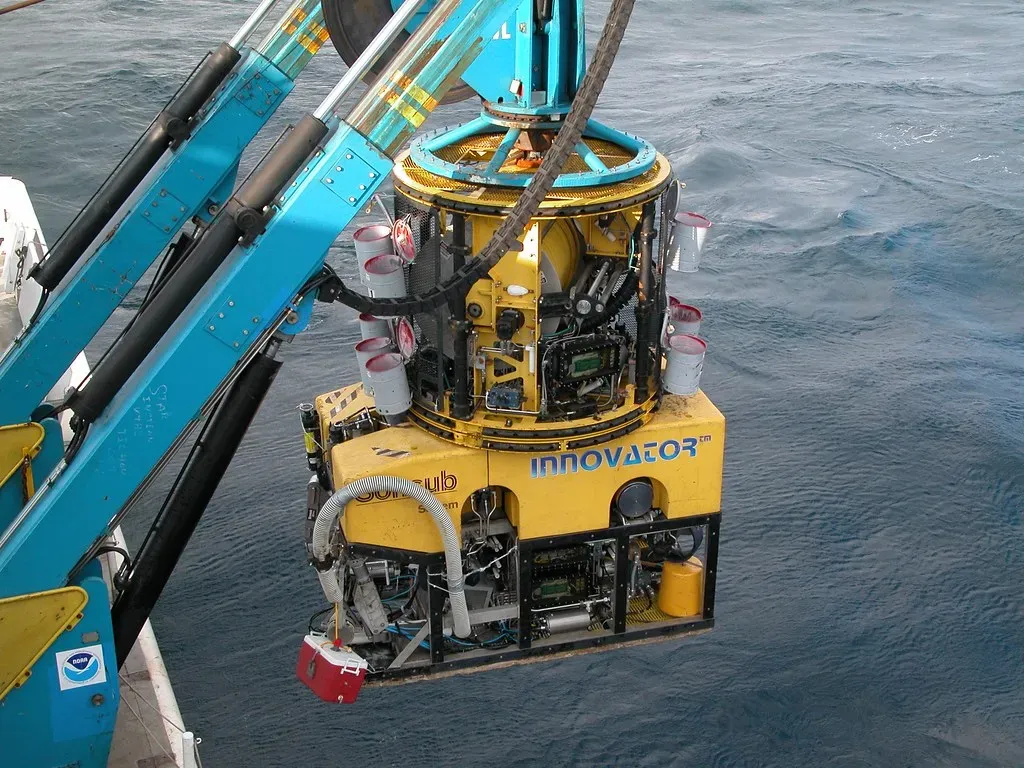 5. Unidentified Deep‑Sea Samples From Early Ocean Cruises (NOAA Photo Library, Flickr, CC BY 2.0)