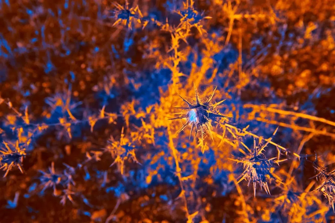 Entangled Neurons and the Speed of Thought (Image Credits: Unsplash)