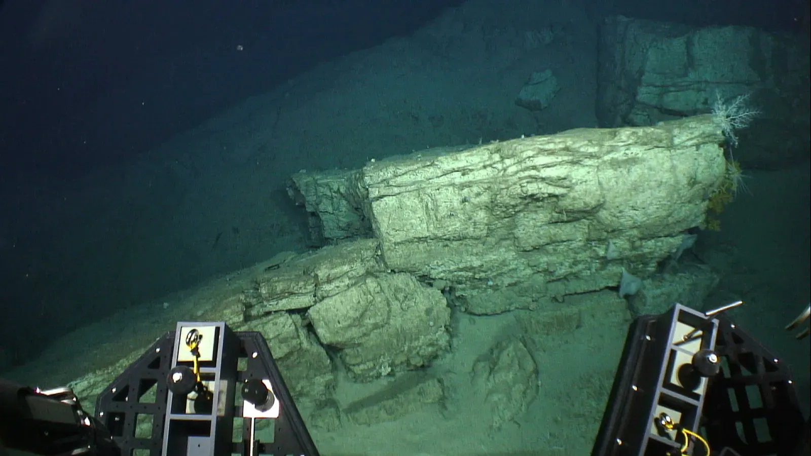 #9 - The Ruler-Straight Trenches That Don't Match Any Plate (By NOAA, Public domain)