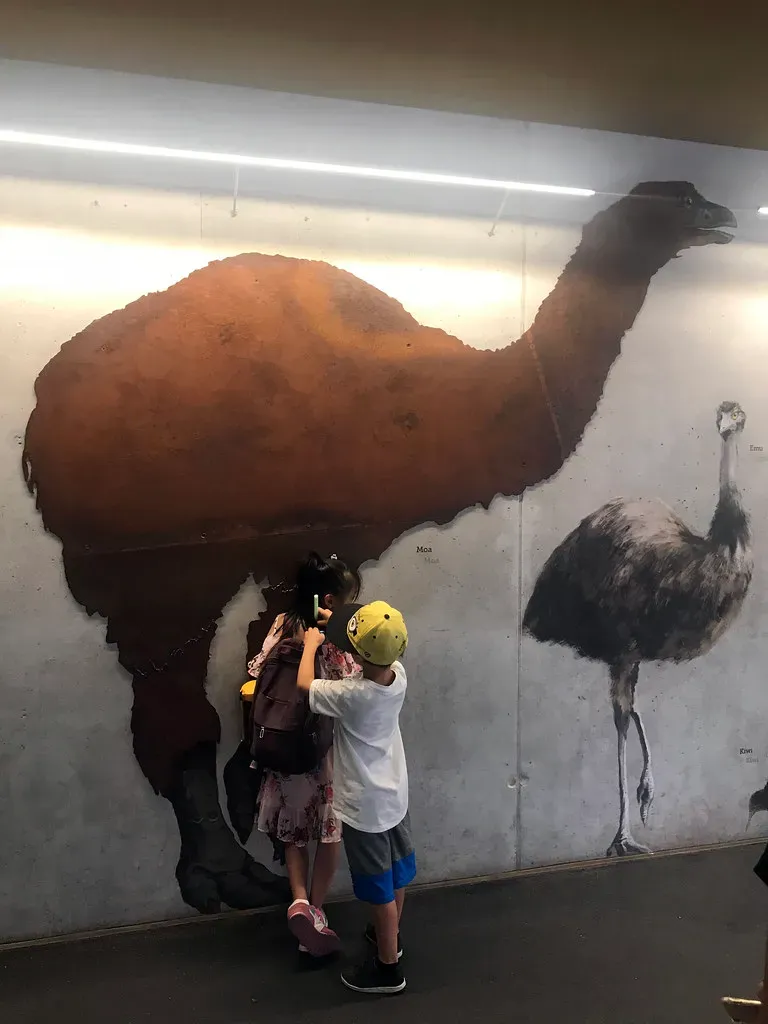 Giant Moa – The Gentle Outsider Who Thrives Off the Beaten Path (Harald Groven, Flickr, CC BY-SA 2.0)
