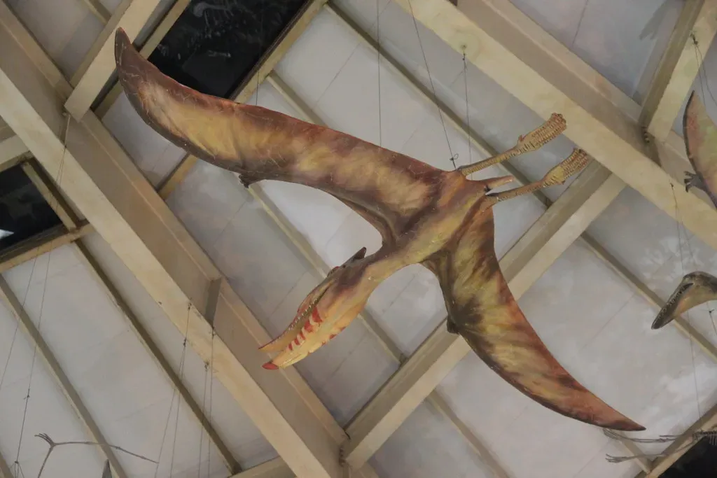 A Snapshot of Evolution’s Early Mastery of Powered Flight (Image Credits: Flickr)