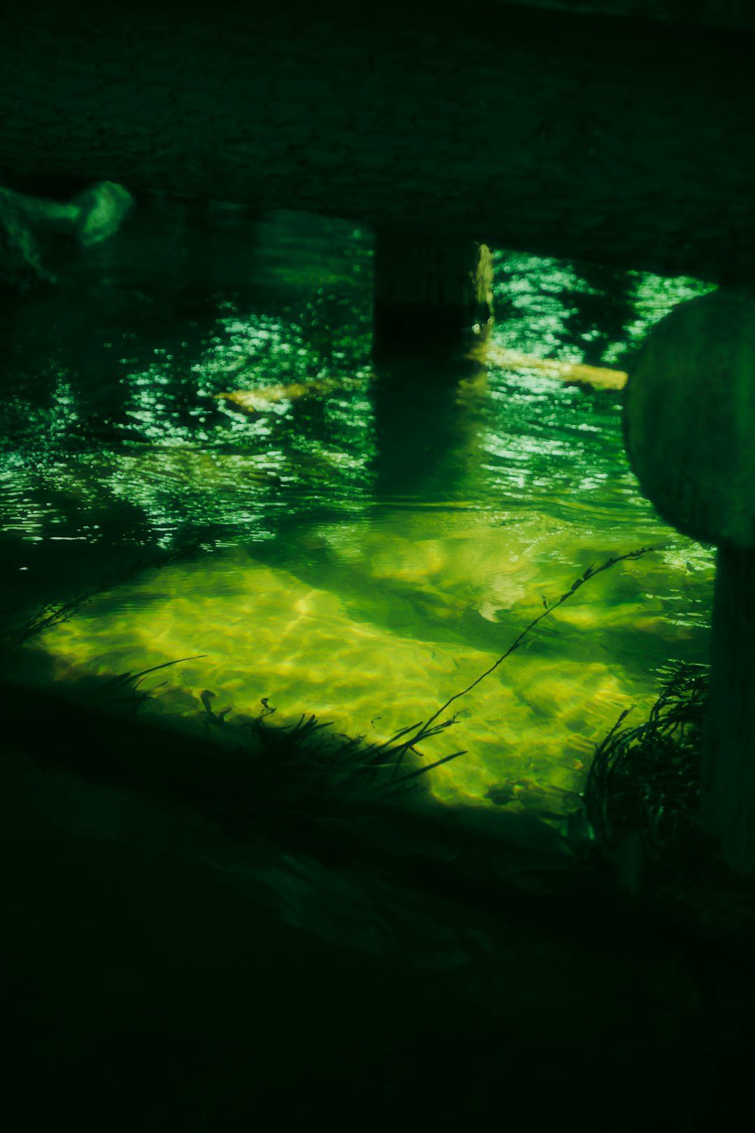 Yonaguni Monument, Japan: Natural Wonder or Sunken Architecture? (Image Credits: Unsplash)