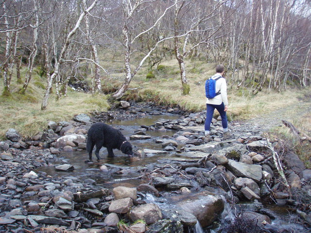 From Ancient Tools to Modern Science (Image Credits: Wikimedia)