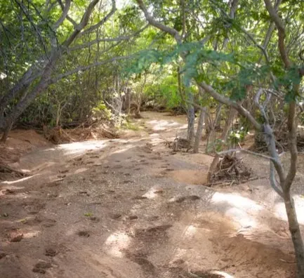 3. The “Age” of Tracks and Trails Under Your Feet (Image Credits: Pexels)