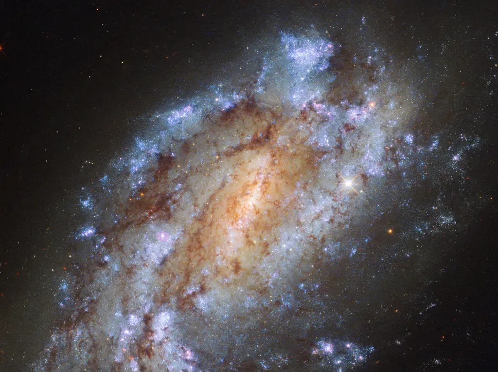 The Great Silence: Why Haven’t We Met Anyone Yet? (Image Credits: Flickr)