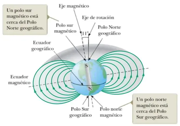 The Magnetic Heartbeat and Its Strange Rhythms (Image Credits: Wikimedia)