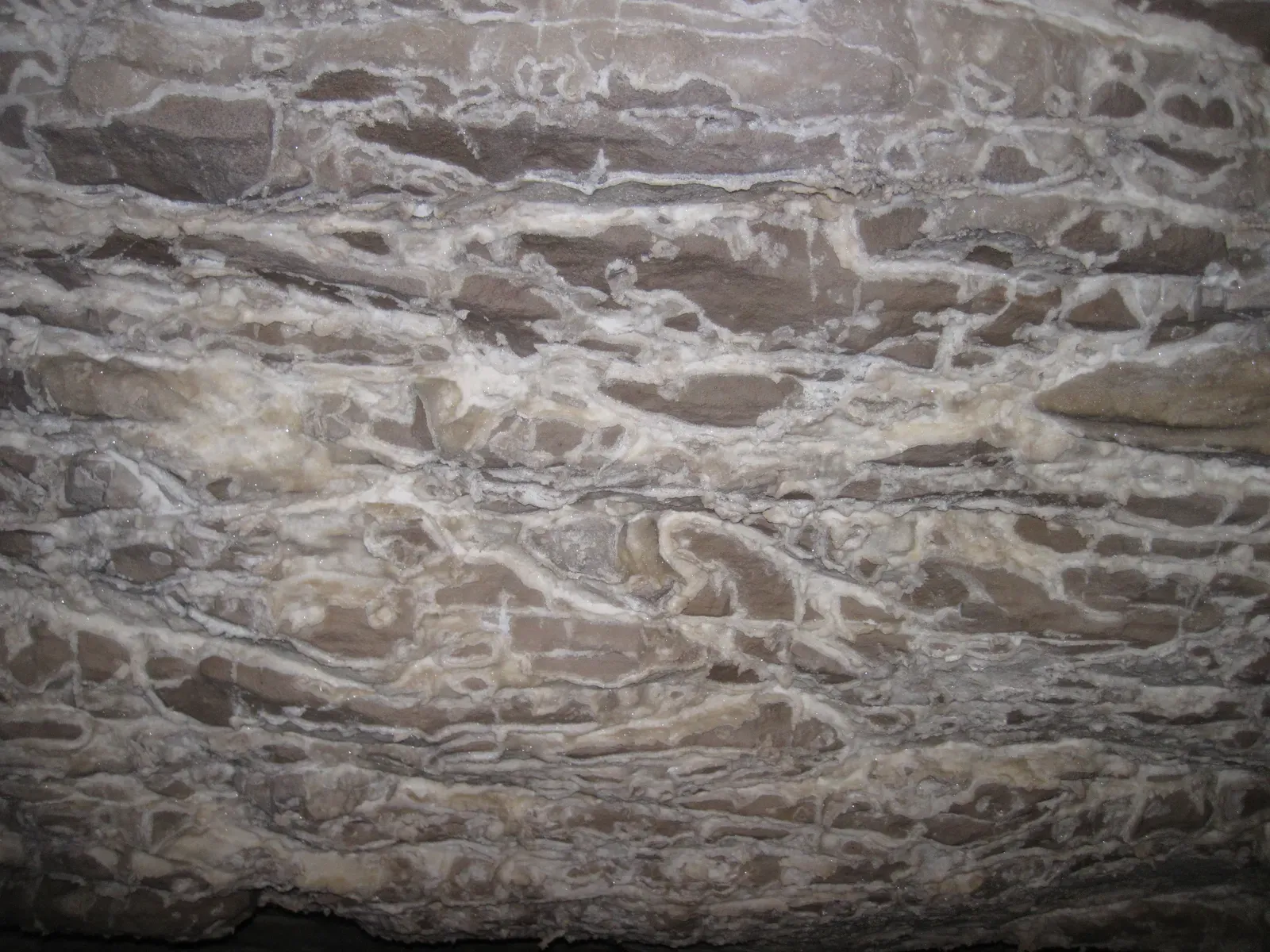 What This “Delicate Salt Crust” Actually Is (Gypsum crust on limestone wall in Great Onyx Cave (Flint Ridge, Mammoth Cave National Park, Kentucky, USA) 6, CC BY 2.0)