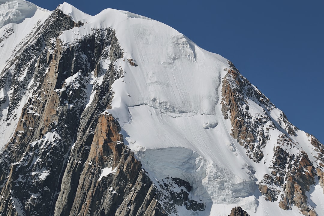 What Pushes Them Up (Image Credits: Unsplash)