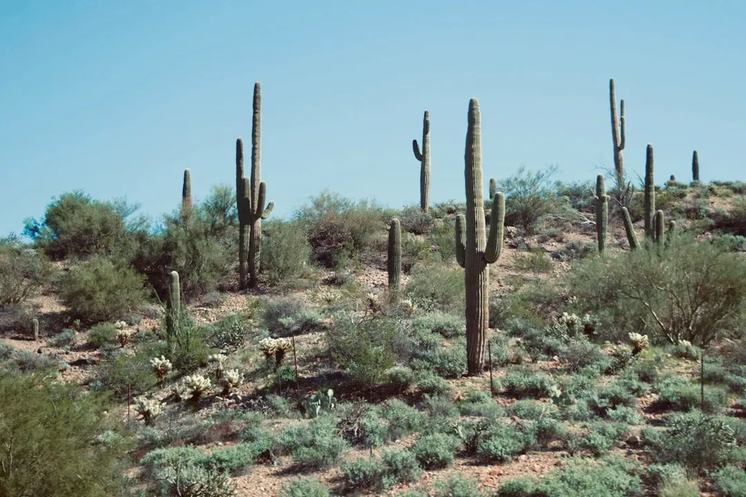 Water Storage That Defies Belief (Image Credits: Unsplash)
