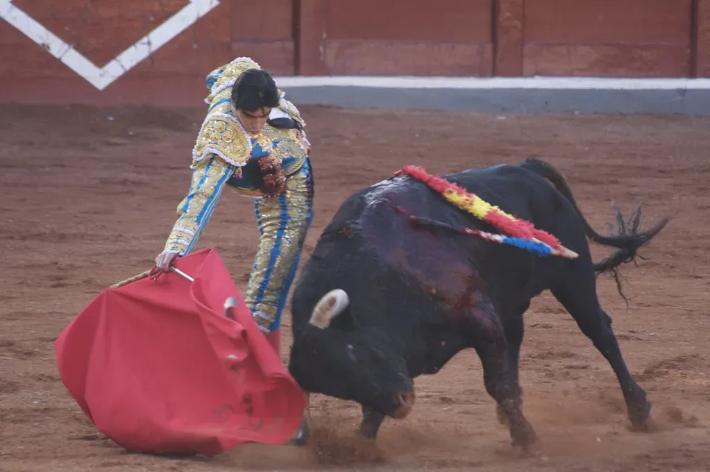 Bulls Get Angry When They See Red (Image Credits: Flickr)