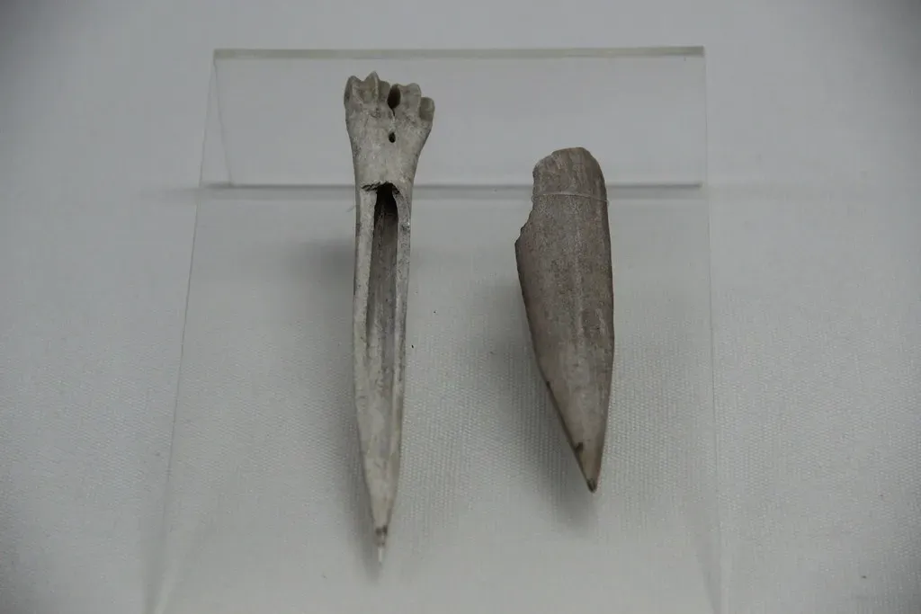 7. Bone, Antler, and Ivory Tools: The First Specialist Gear (Image Credits: Flickr)