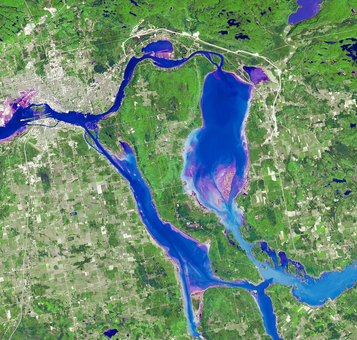 What You Can Do Now (Image Credits: Rawpixel)