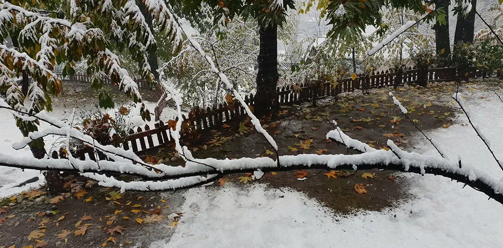 Why It Matters: Earth’s Weirdest Places as Warnings and Blueprints (Image Credits: Wikimedia)