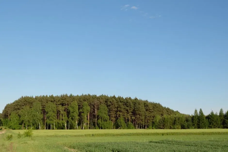 5. Edge Zones Where Two Worlds Quietly Collide (Image Credits: Pexels)