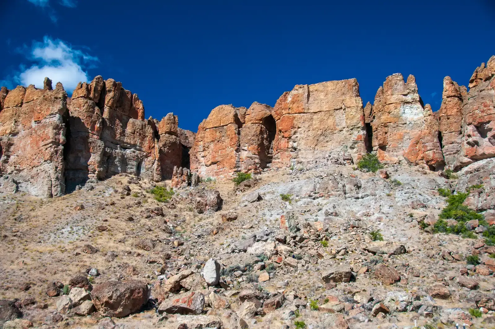 #8 - The John Day Fossil Beds (USA): Mammal Evolution Wasn't Gentle or Gradual (By samiamx, CC BY 2.0)