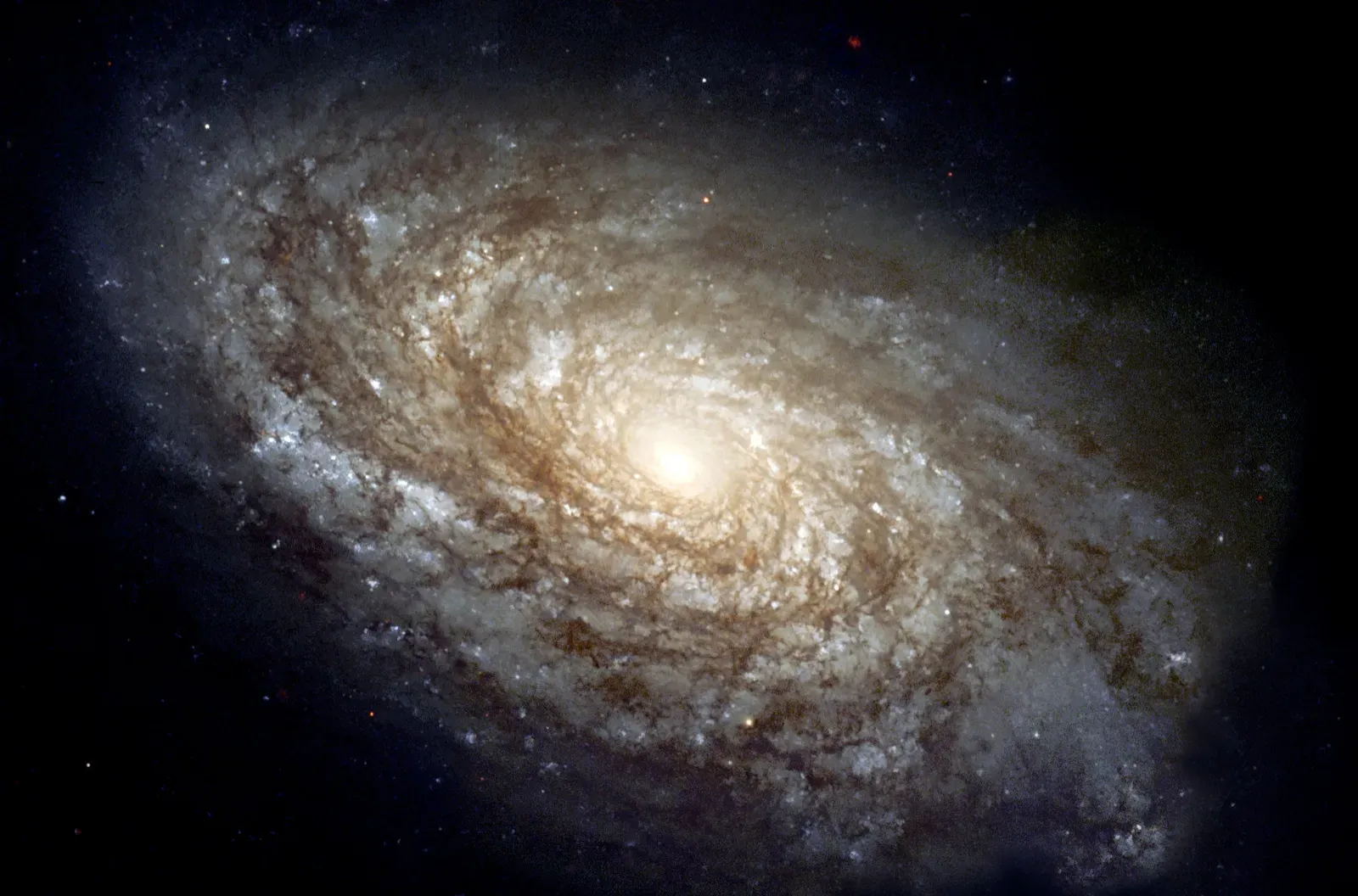 From Dust to Planets: How Worlds Slowly Assembled (Image Credits: Wikimedia)