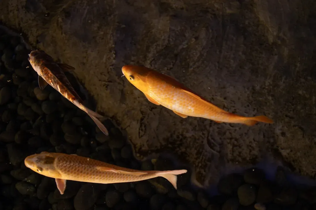 The Future Landscape: Genomics, Conservation, and Ethical Questions (Image Credits: Unsplash)