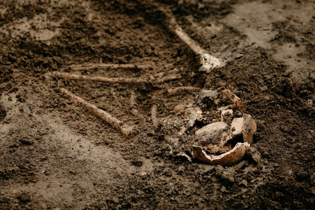 9. Ancient Pets Buried Like Family (Image Credits: Unsplash)