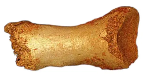 #6 - The Siberian Cave That Revealed a "Ghost" Human Species (By Bence Viola, CC BY 4.0)