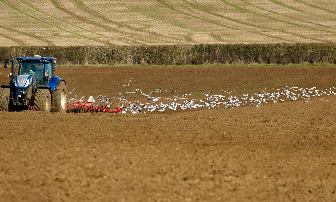 The Future Landscape (Image Credits: Unsplash)
