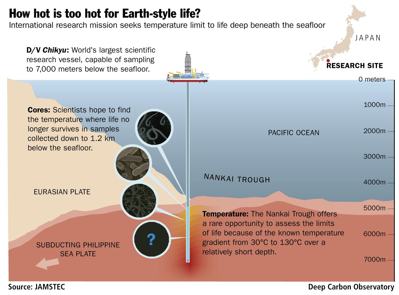 Pressure-Resistant Colonies Defying Physical Laws (Image Credits: Wikimedia)